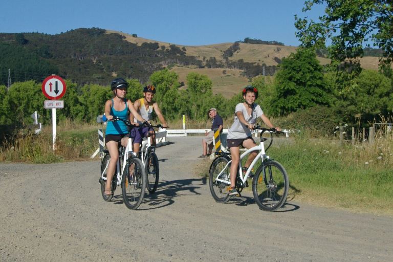 Jollybikes: The Great Hauraki Rail Trail Tour