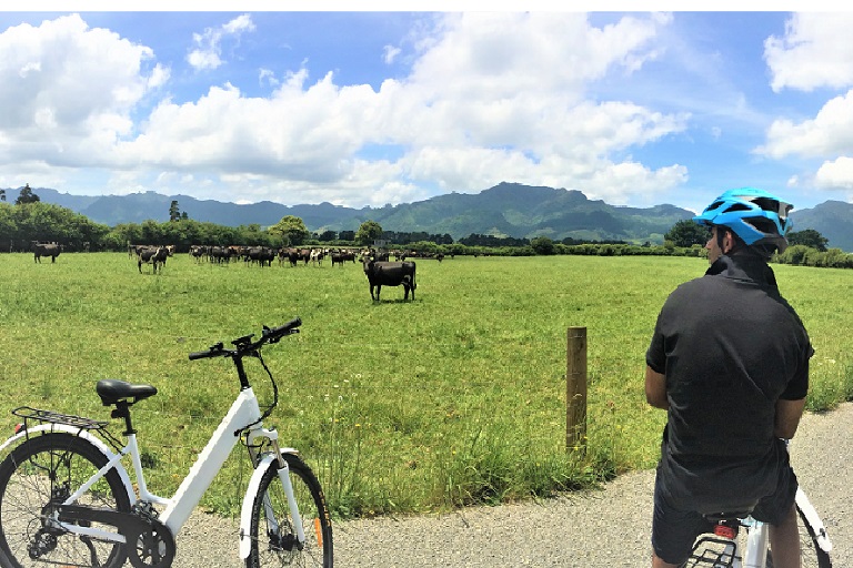 Mt Te Aroha Bike Hire & Tours - Hauraki Rail Trail
