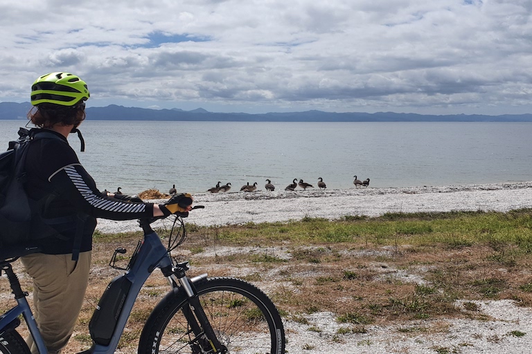 Shorebird cycles bike ride