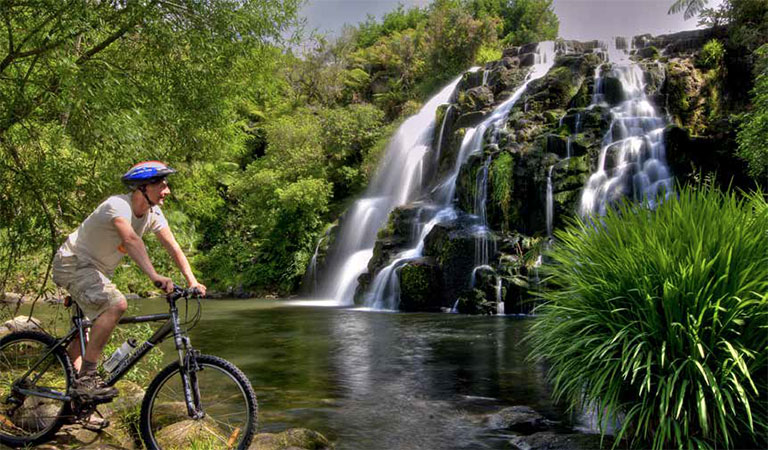 Owaharoa Falls - Photo Courtesy of Destination Coromandel