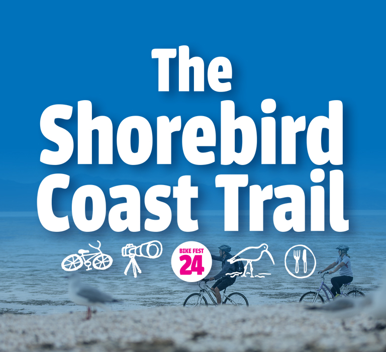 The Shorebird Coast Trail